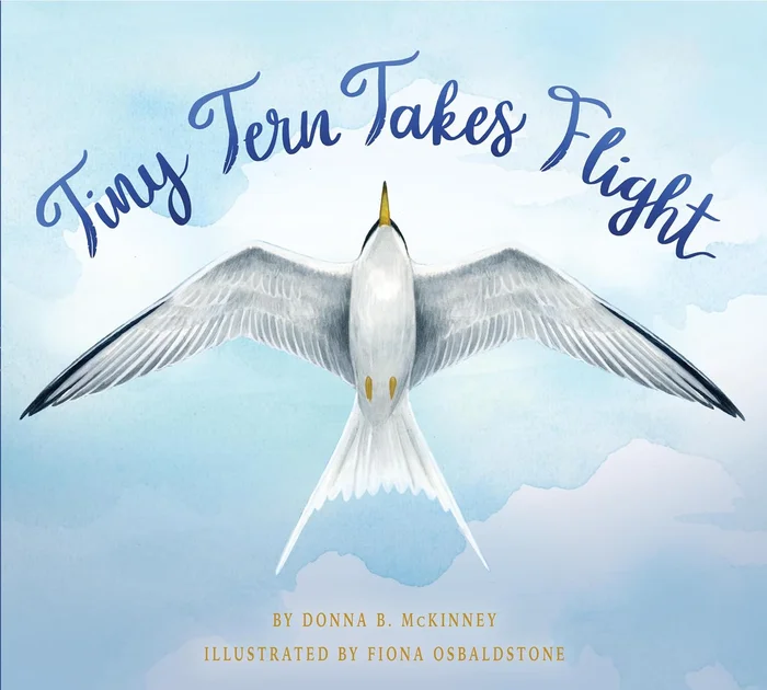 180 Days?: Mathematics for 6th Grade Practice Workbook for Classroom and Home, Cool and Fun Practice Created by Teachers