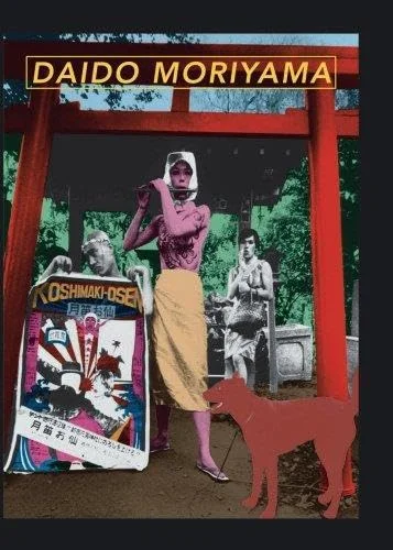 Absence and Difficult Knowledge in Contemporary Art Museums (Routledge Research in Art Museums and Exhibitions)