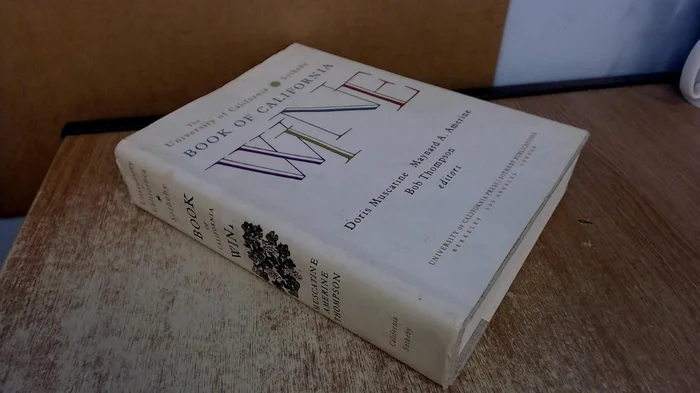 Advances in Autoethnography and Narrative Inquiry (International Congress of Qualitative Inquiry (ICQI) Foundations and Futures in Qualitative Inquiry)