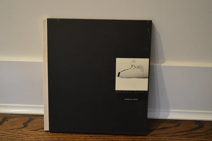 Aesthetics: Lectures on Fine Art Volume ll