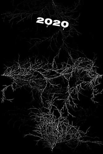 Agenda 2021: (Acquario) ※Segno zodiacale§ Pianificatore settimanale e mensile + calendario annuale. Dal 1～ gennaio 2021 al 31 dicembre 2021. 100 Pagine 6§x 9§ (Italian Edition)