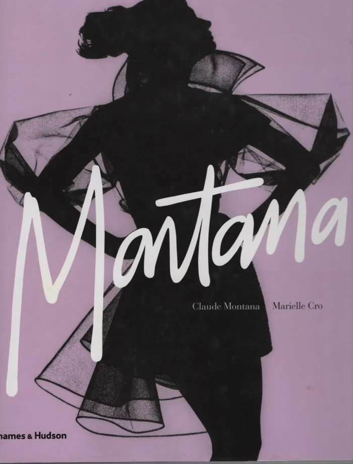 Art, Knowledge, and Papal Politics in Medieval Rome: Interpreting the Aula Gotica Fresco Cycle at Santi Quattro Coronati