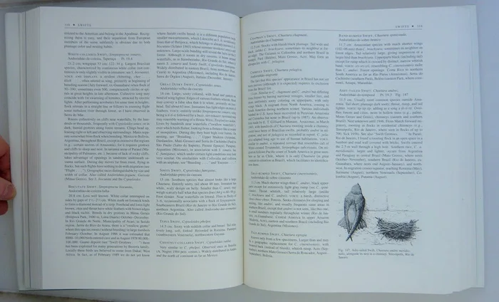 Autopsy of a Suicidal Mind - Image 2