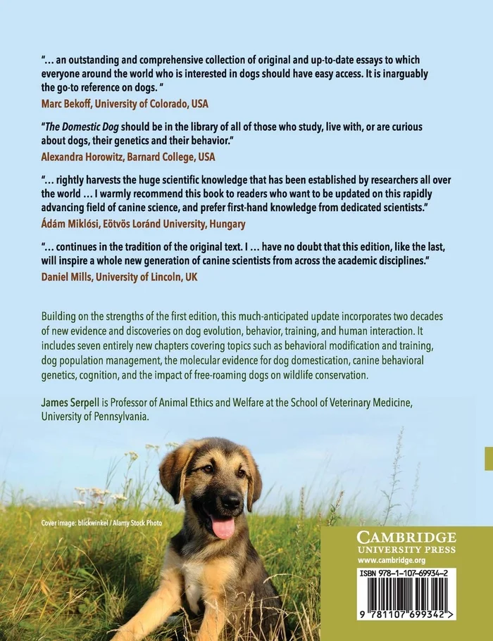 AWS Certified AI Practitioner (AIF-C01) Study Guide: In-Depth Exam Prep and Practice - Image 2