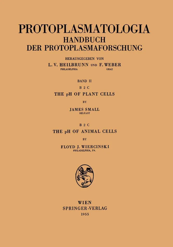 Backyard Hero's: The Adventures of Kano and Simon: A Children's Fantasy Adventure with Dogs and Knights