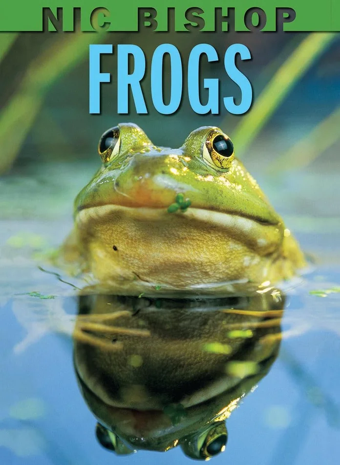 Book Fiesta!: Celebrate Children's Day/Book Day; Celebremos El dia de los ninos/El dia de los libros (Bilingual Spanish-English) (Spanish Edition)