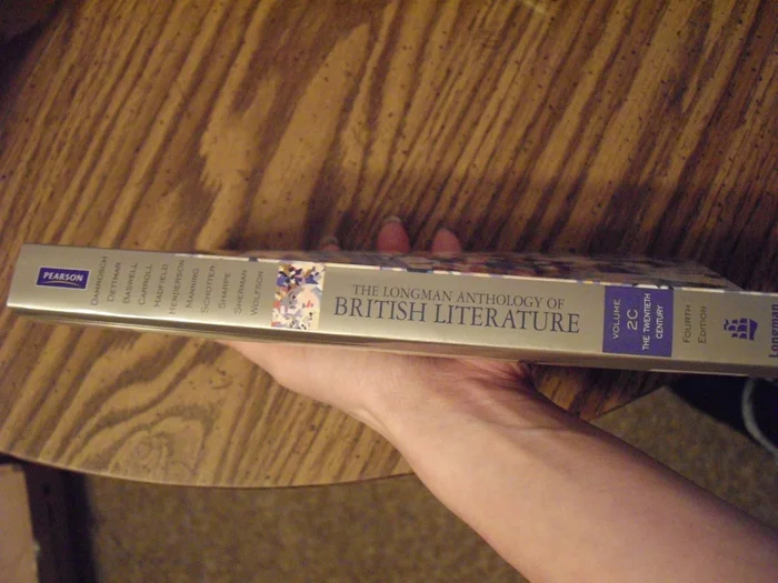 Celebrating the Resilience of Queer Black Relationships: A Guide to Multidynamic Relational Therapy (Leading Conversations on Black Sexualities and Identities) - Image 4
