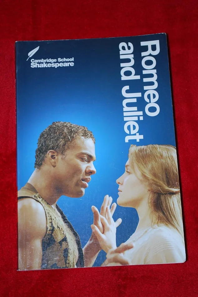 Clan Hay Scotland | 2021 Day To A Page Diary By Tangled Tartan: 2021 Ruled Diary & Calendar. With A Unique Tangled Tartan Scottish Clan Cover.