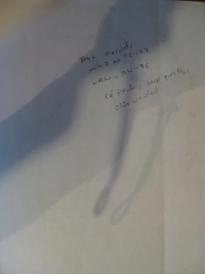 Communication and Sport: Surveying the Field - Image 4