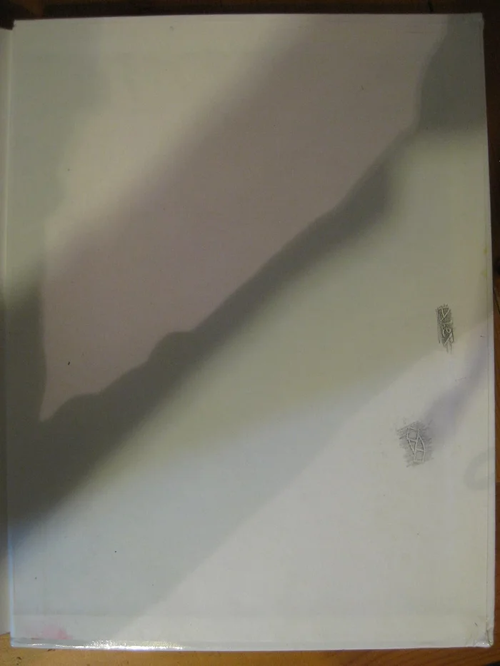 Communication and Sport: Surveying the Field - Image 7