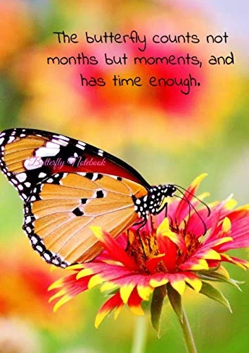 Coventry Cathedral: Art and Architecture in Post-War Britain (Clarendon Studies in the History of Art)