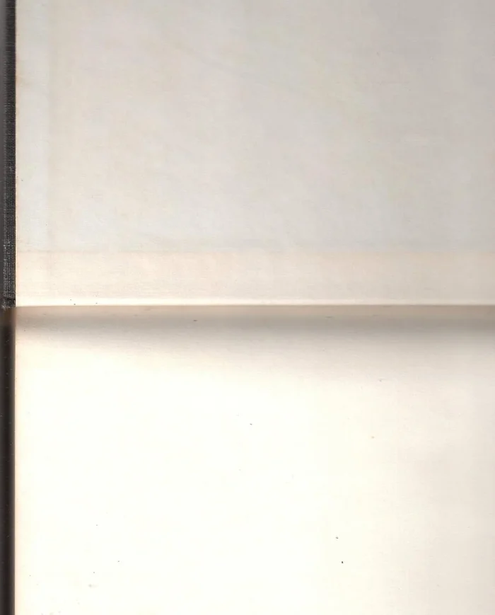 DESIGN AND ART /ANGLAIS (DOCUMENTS OF CO) - Image 5