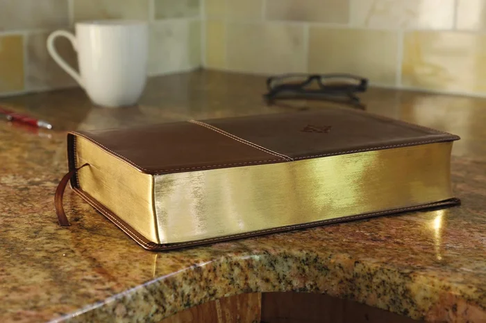 Divided by Faith: Evangelical Religion and the Problem of Race in America - Image 5