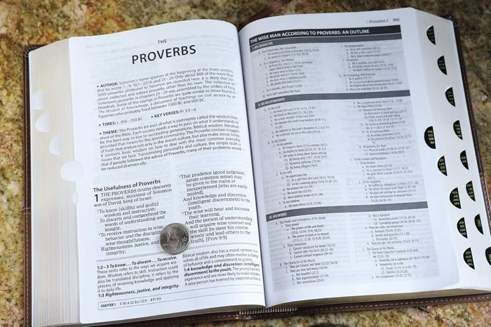 Divided by Faith: Evangelical Religion and the Problem of Race in America - Image 9