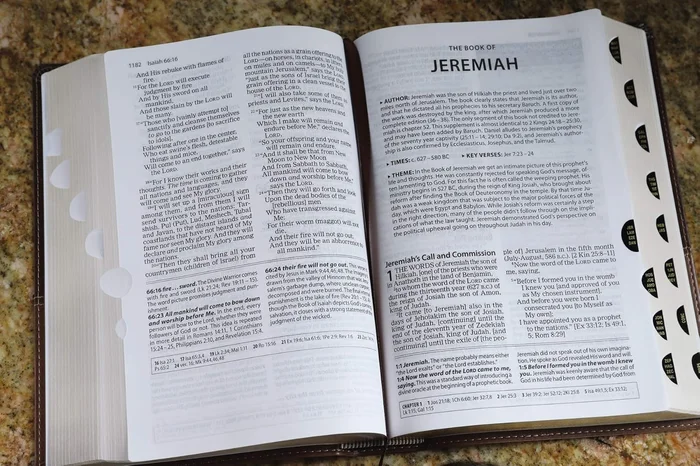 Divided by Faith: Evangelical Religion and the Problem of Race in America - Image 7