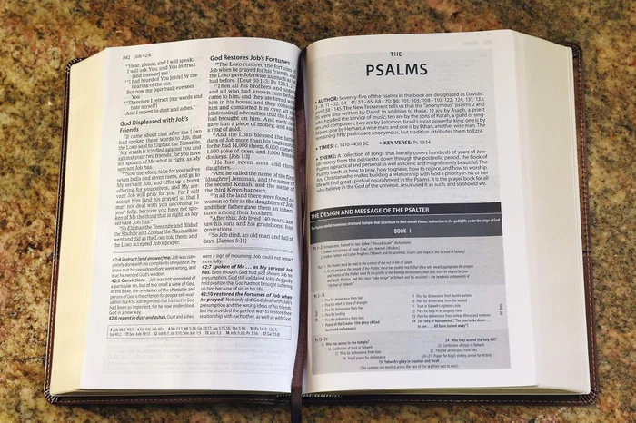 Divided by Faith: Evangelical Religion and the Problem of Race in America - Image 6