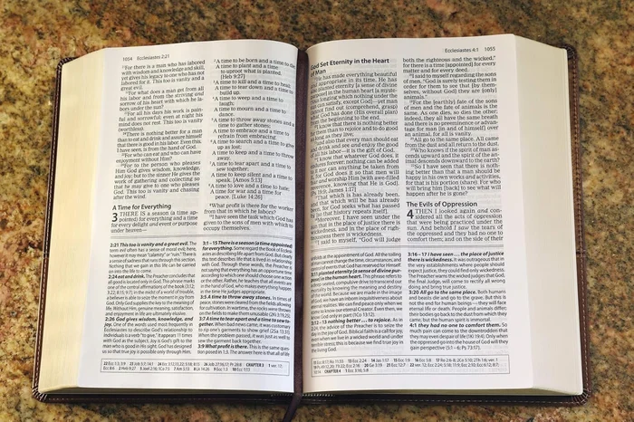 Divided by Faith: Evangelical Religion and the Problem of Race in America - Image 8