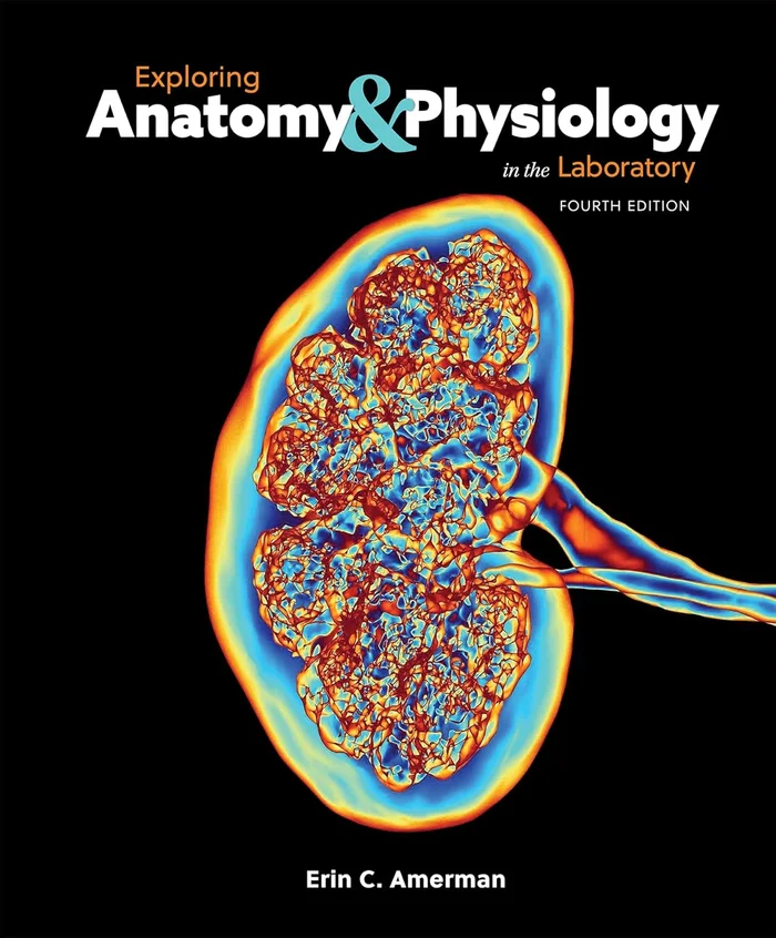 The Garden of Evening Mists