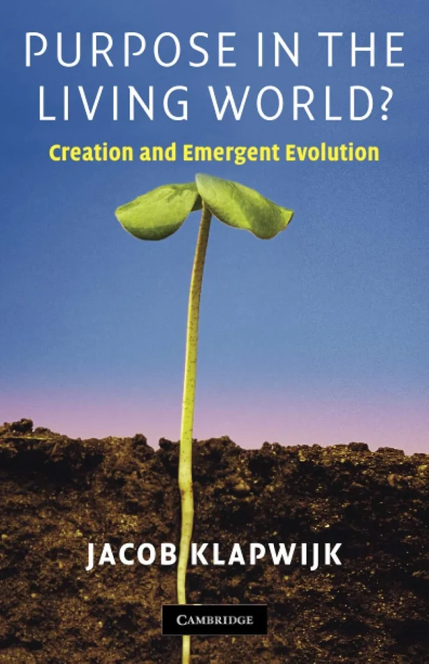 Feminism Is for Everybody: Passionate Politics