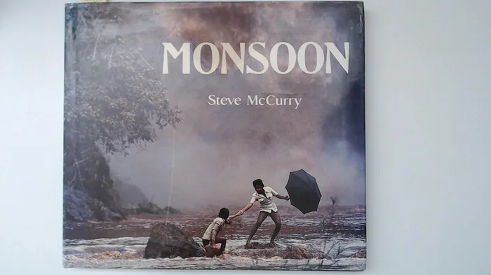 Fort Fisher (Images of America)