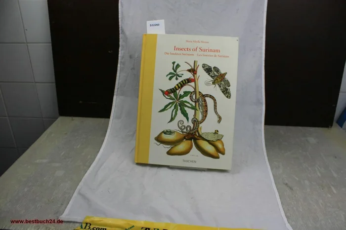 Geertgen tot Sint Jans and the Art of Longing (Visual and Material Culture, 1300-1700)