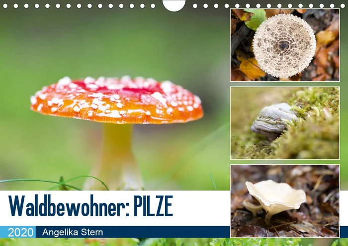 Greuze and the Painting of Sentiment