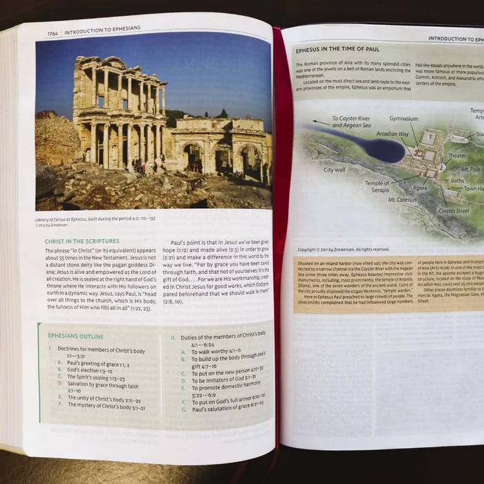 Grim and Oro: Dueling Crowns Edition (A Lightlark Saga Deluxe Companion Book) - Image 3