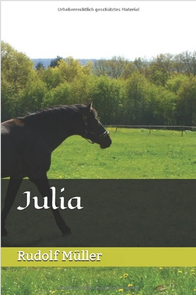 How Should We Then Live?: The Rise and Decline of Western Thought and Culture