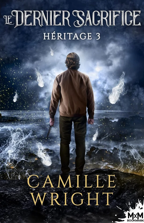 Hypersonic and High-Temperature Gas Dynamics (Aiaa Education)