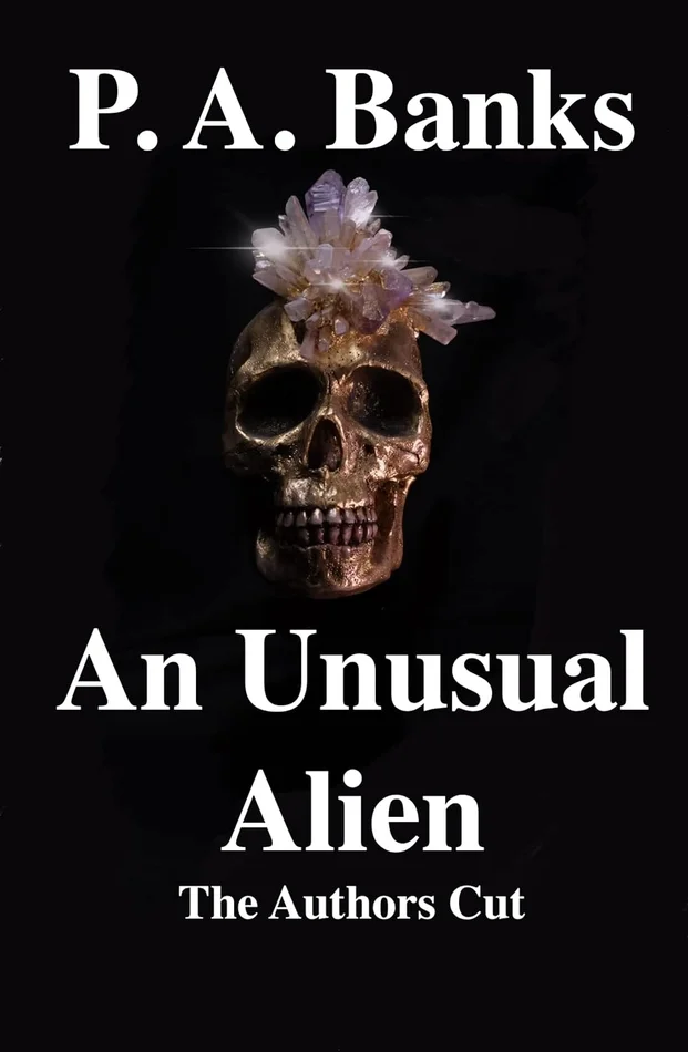 Idika and The Twin Prophecy (IDIKA SERIES Book 1)