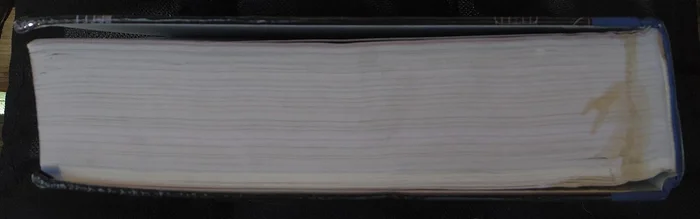 In Time for Christmas: A Time Travel Western Romance (Romance in the Rockies) - Image 7