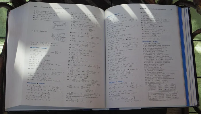 In Time for Christmas: A Time Travel Western Romance (Romance in the Rockies) - Image 2