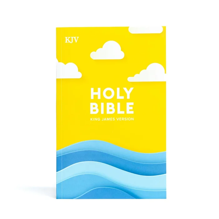 Judicial Process in America