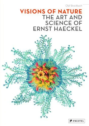 Kana De Manga: The Fun, Easy Way To Learn The ABCs Of Japanese