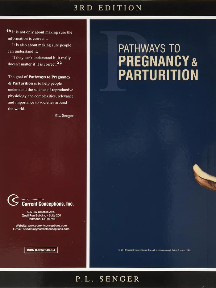 Latin American Politics and Society - Image 2