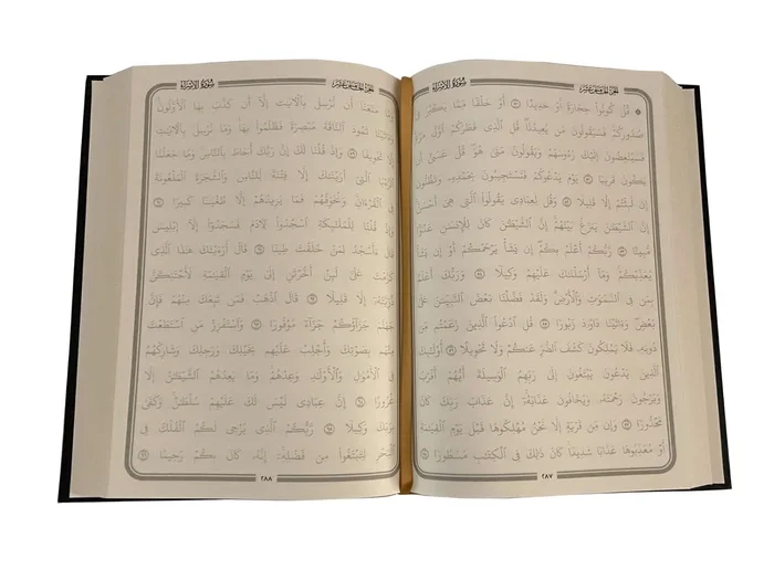 Leviathan: With selected variants from the Latin edition of 1668 (Hackett Classics) - Image 7