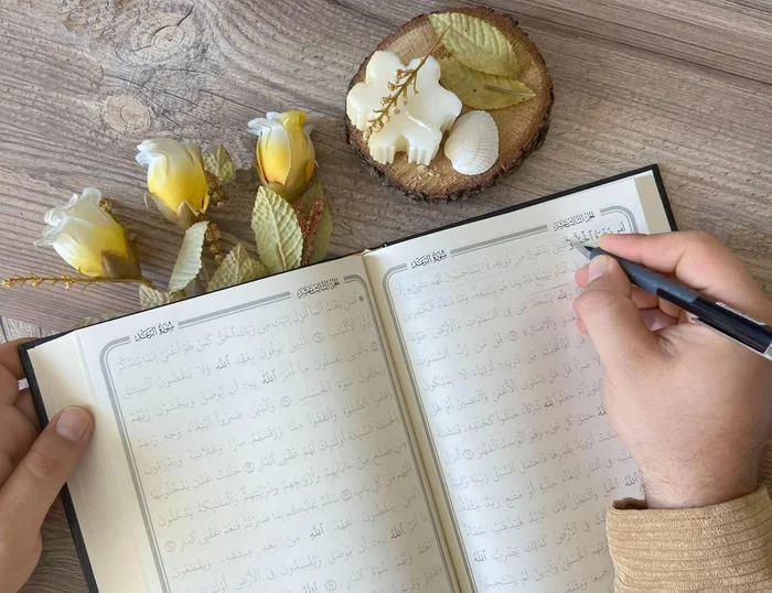 Leviathan: With selected variants from the Latin edition of 1668 (Hackett Classics) - Image 4