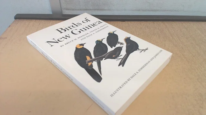 Looking Out, Looking In