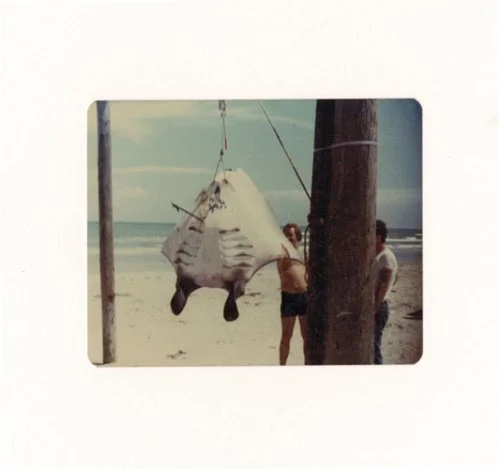 Manual of Curatorship: A Guide to Museum Practice - Image 4