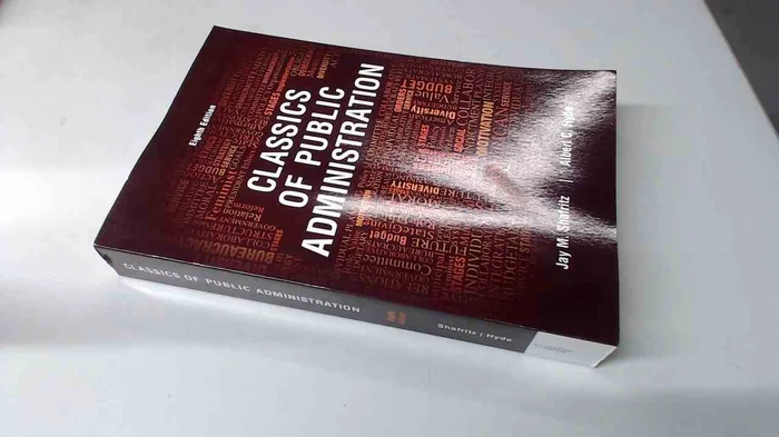 Maternal Optimism: Forging Positive Paths through Work and Motherhood