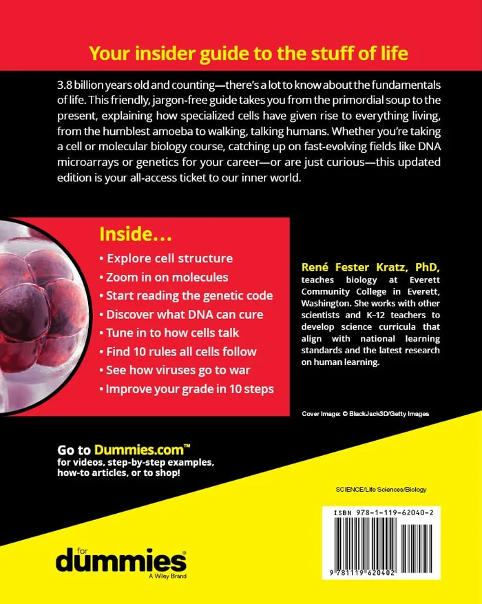 Needle and Thread - Image 2