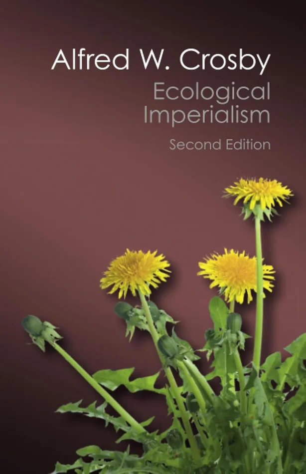 Nichtstation?re Vorg?nge in den Zuleitungs- und Ableitungskan?len von Wasserkraftwerken: Translationswellen in offenen Kan?len, Wasserschl?sser an Druckstollen (German Edition)