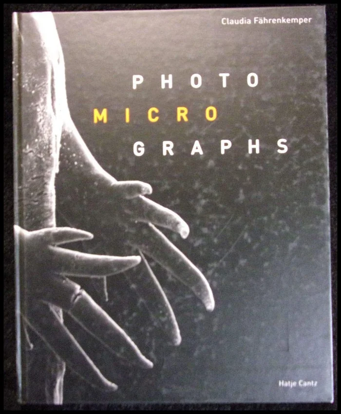 Our Aesthetic Categories: Zany, Cute, Interesting