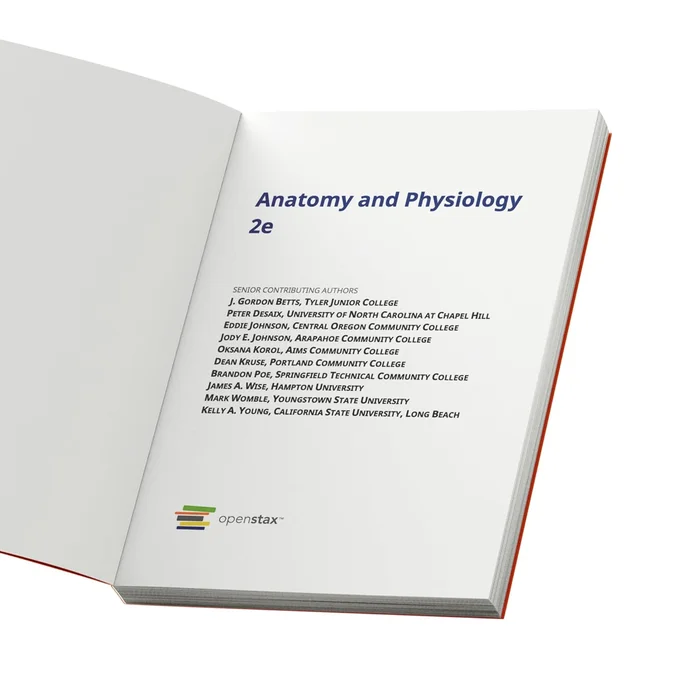 Precalculus - Image 4