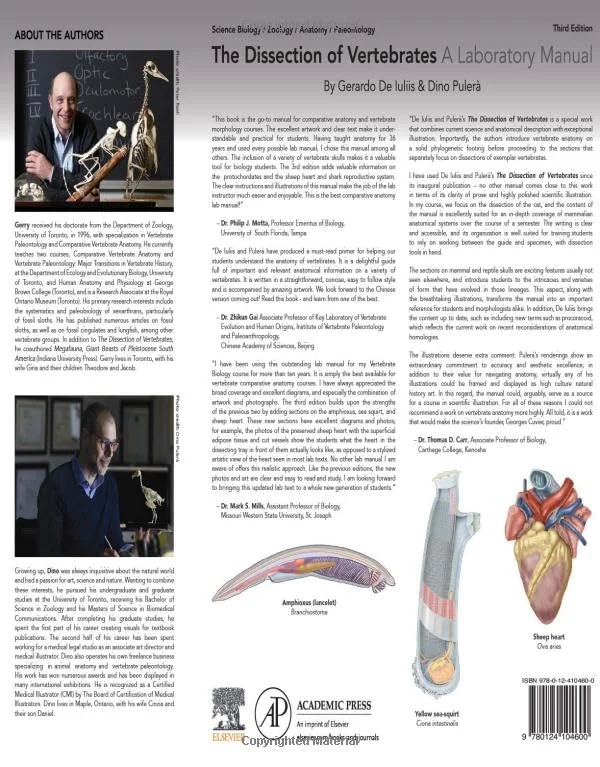 Prince's Proposal for the Canadian Cameras (Winter Escapes) - Image 2