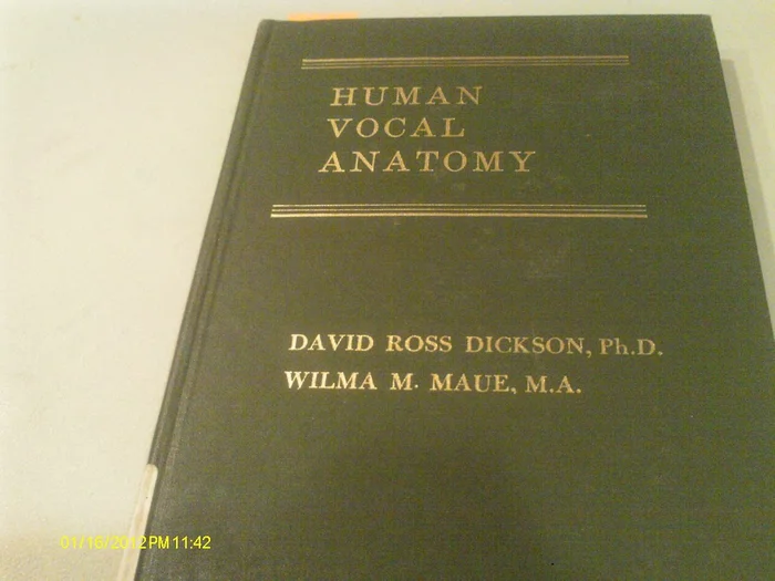 Rafael Lozano-Hemmer: Border Tuner