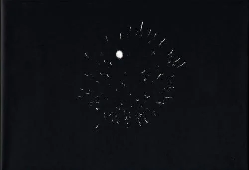 Rebel Without a Cause (BFI Film Classics)