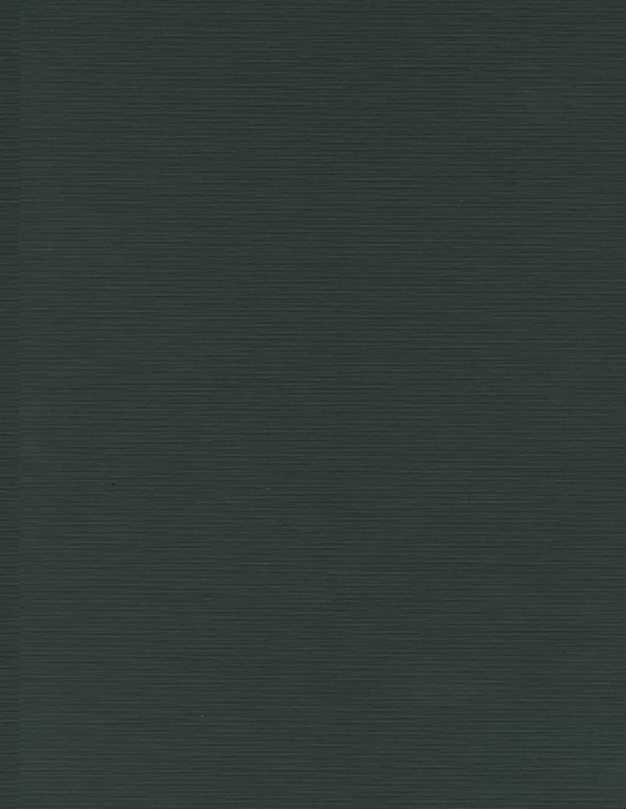 Rembrandt and his Circle: Insights and Discoveries (Amsterdam Studies in the Dutch Golden Age)