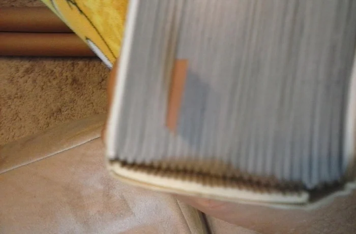 Rochester's Downtown (NY) (Images of America) - Image 3