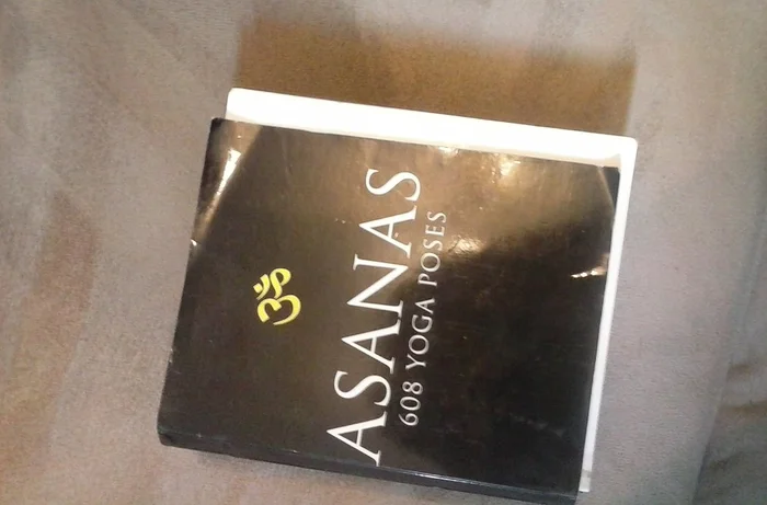 Rochester's Downtown (NY) (Images of America)